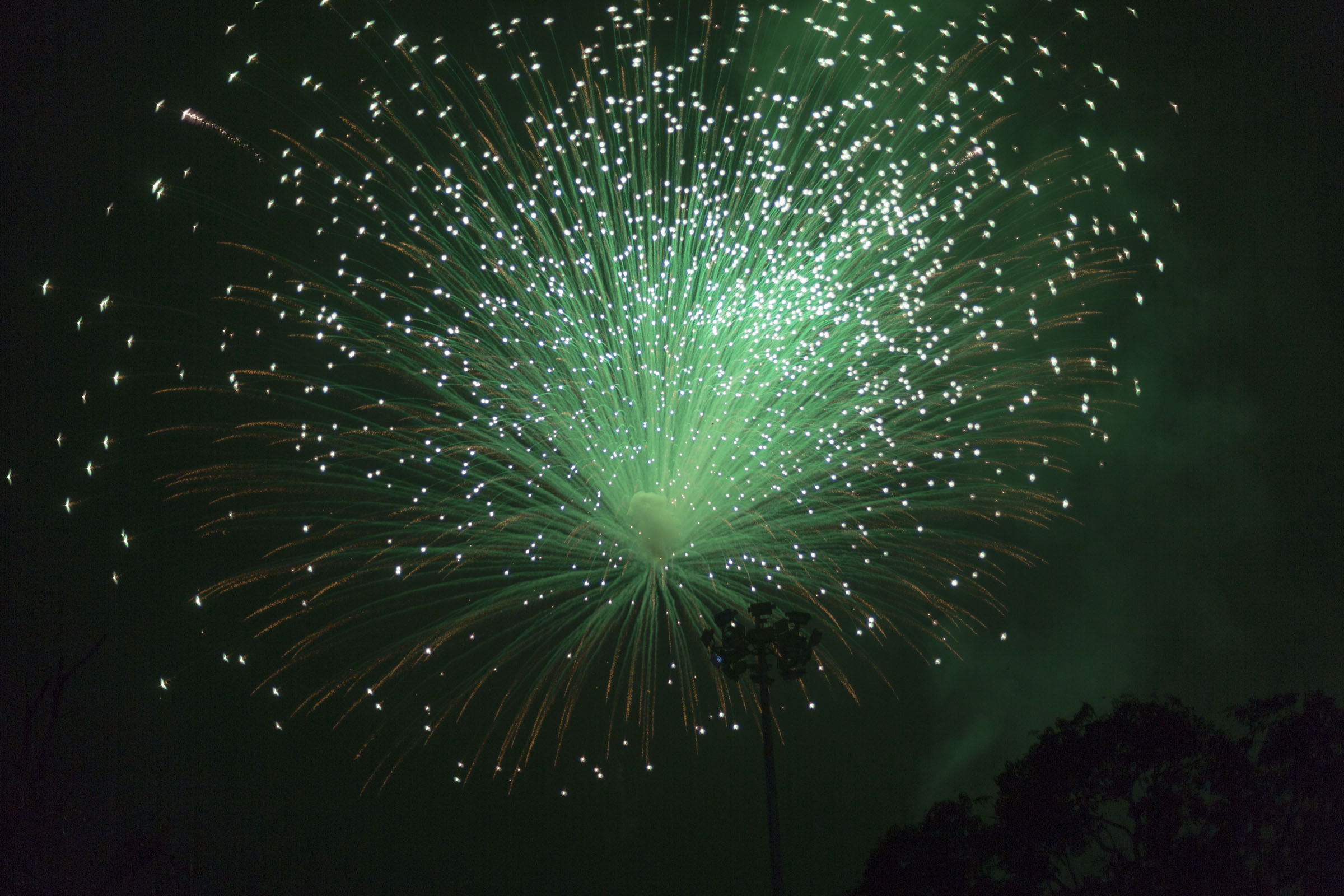 Thrissur Pooram - Fireworks