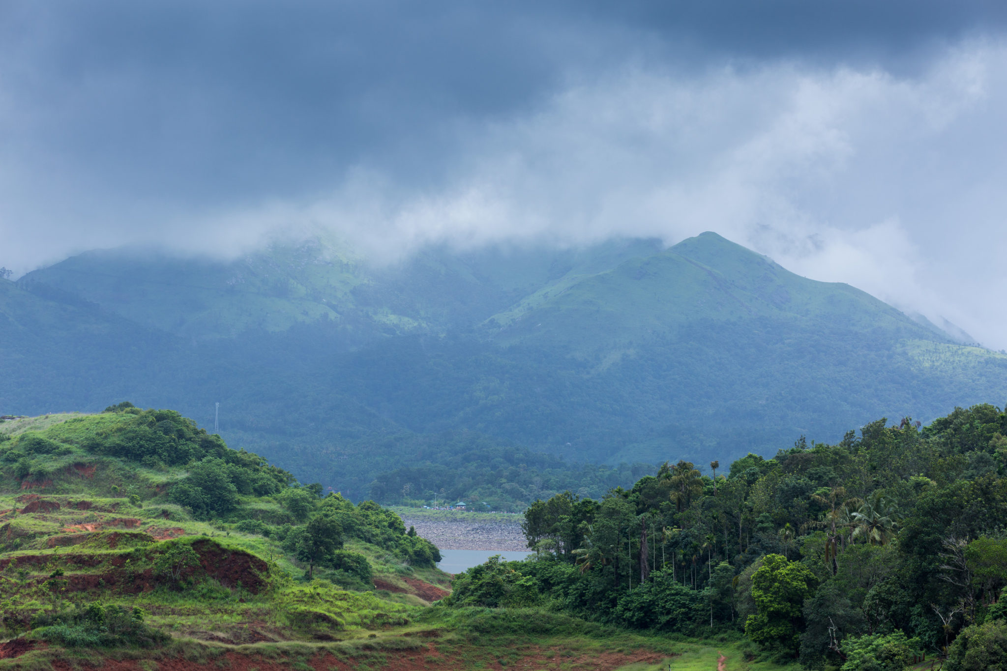 Wayanad