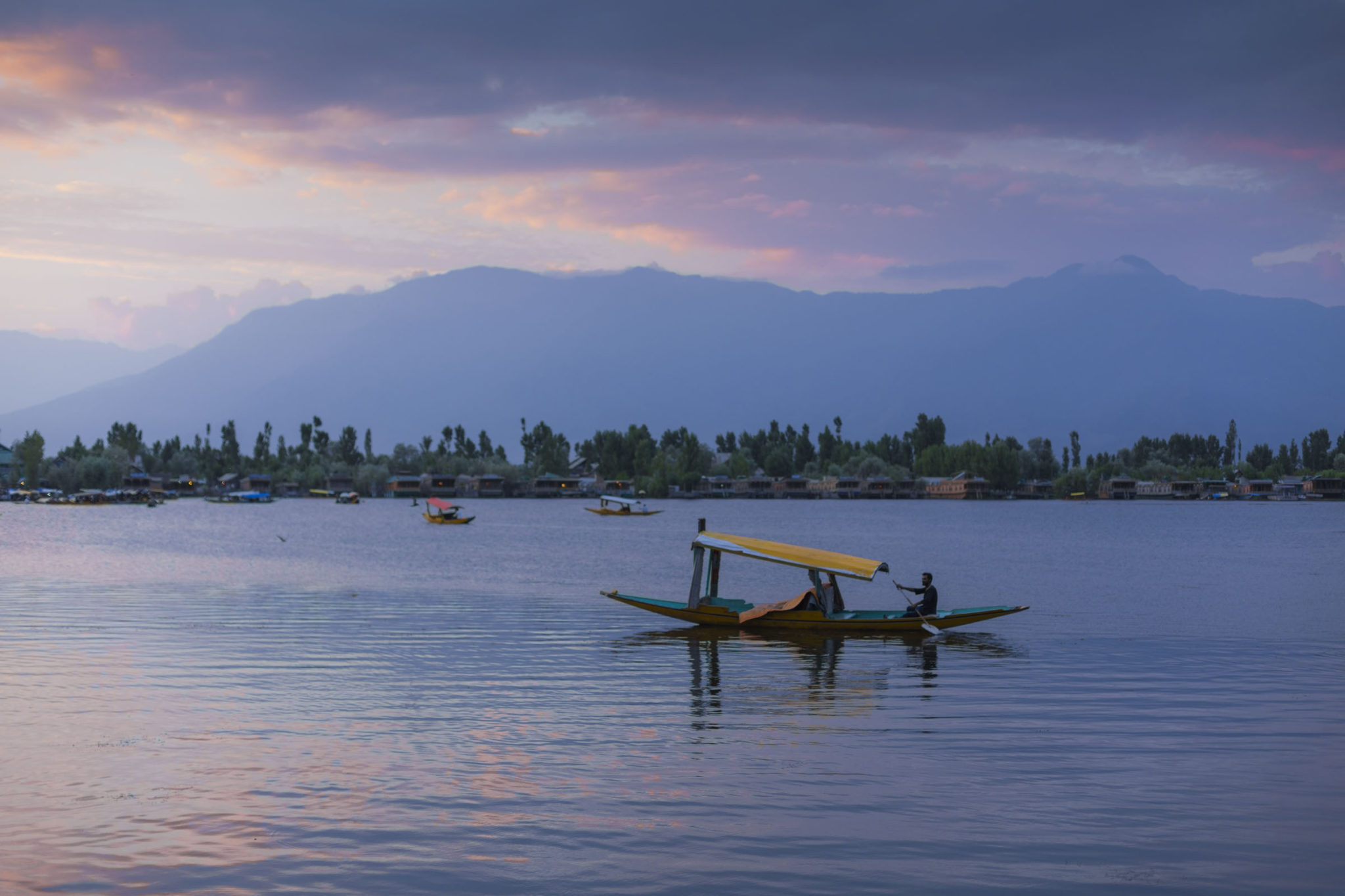 Dal lake