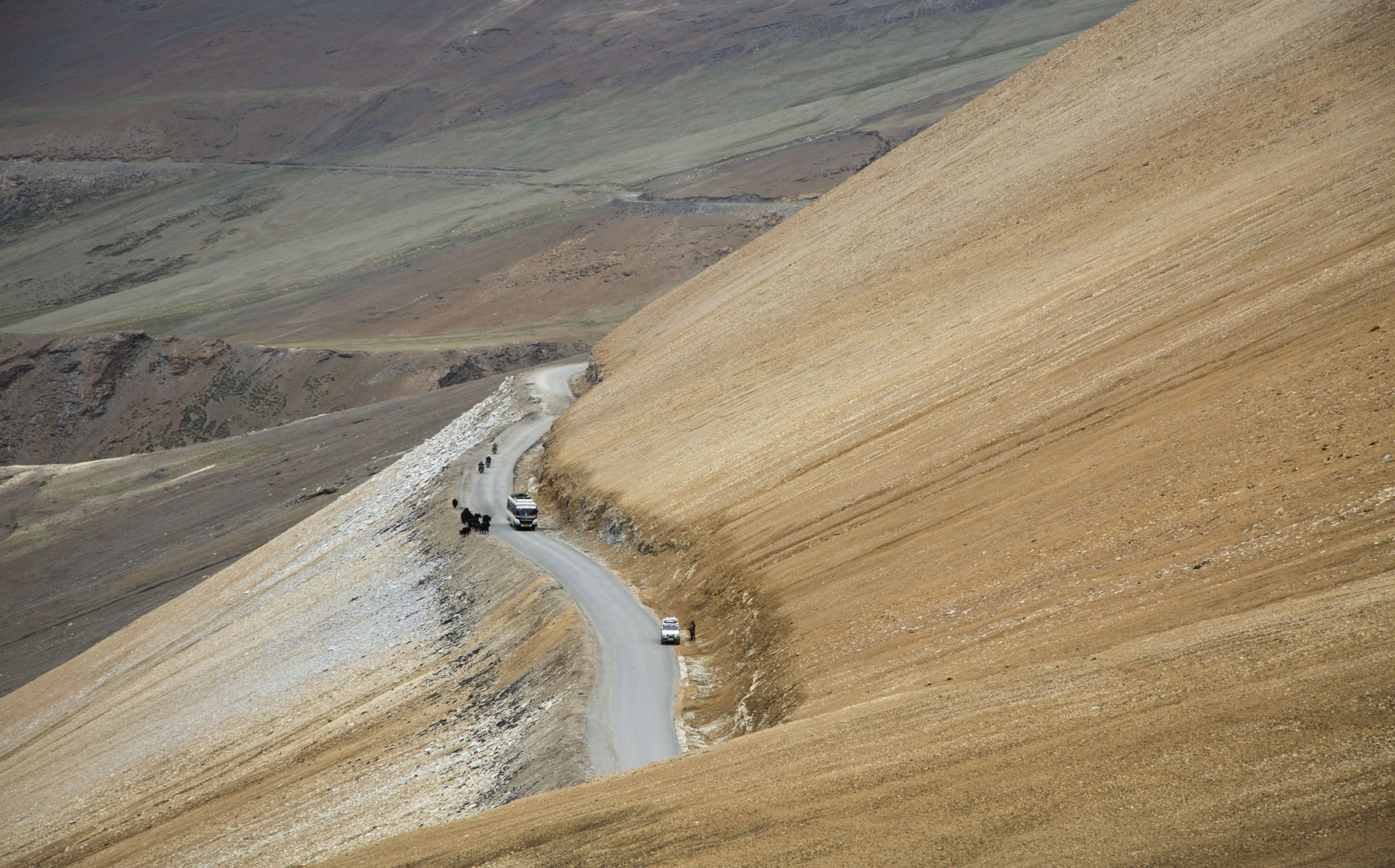 Photography / Videography