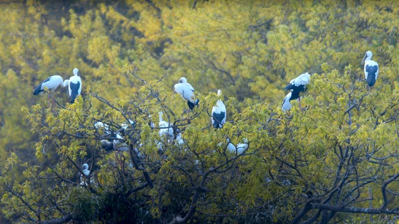 Karnataka’s largest bird sanctuary